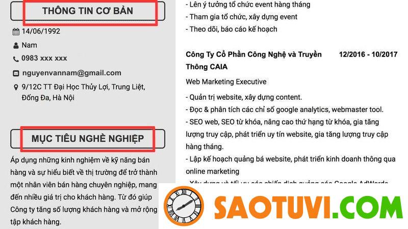 Cách viết CV Digital Marketing nổi bật trước mọi đối thủ Phần giới thiệu, mục tiêu
