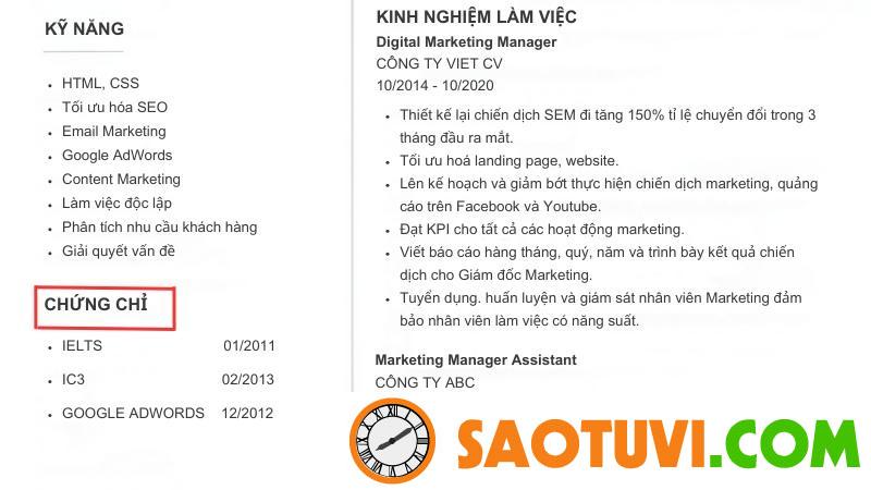 Cách viết CV Digital Marketing nổi bật trước mọi đối thủ Thành tích, chứng chỉ chuyên môn