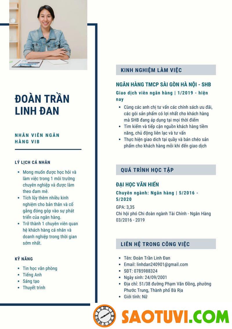 Mẫu CV ngân hàng VIB 