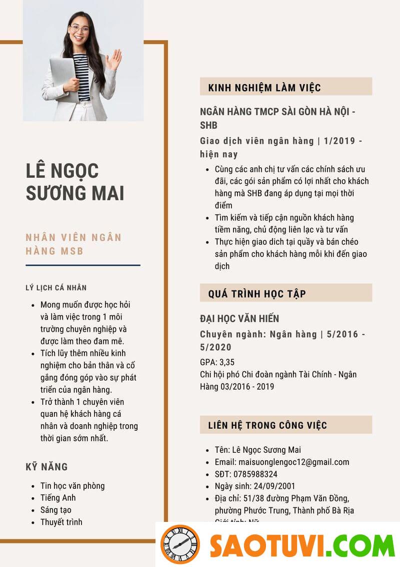 Mẫu CV ngân hàng MSB 