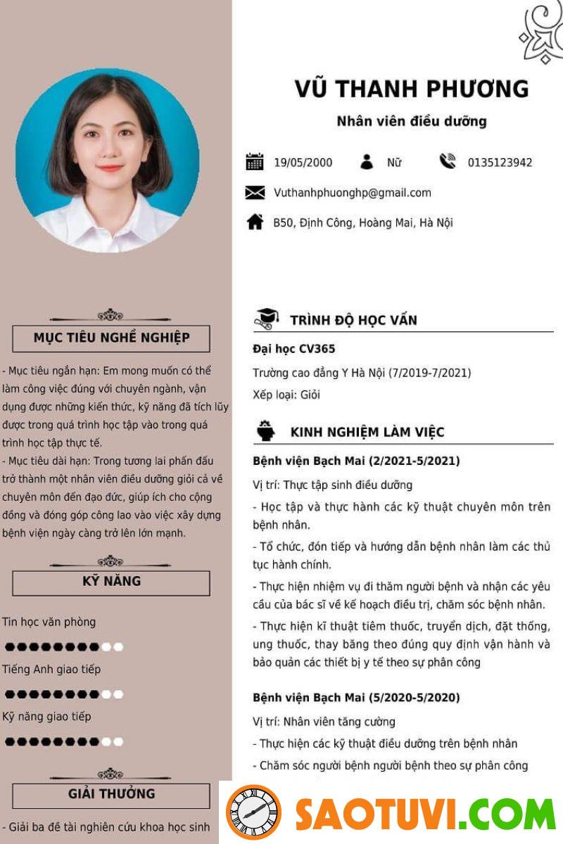 Top 10 mẫu CV xin việc điều dưỡng được lòng nhà tuyển dụng Mẫu CV xin việc điều dưỡng ấn tượng 4