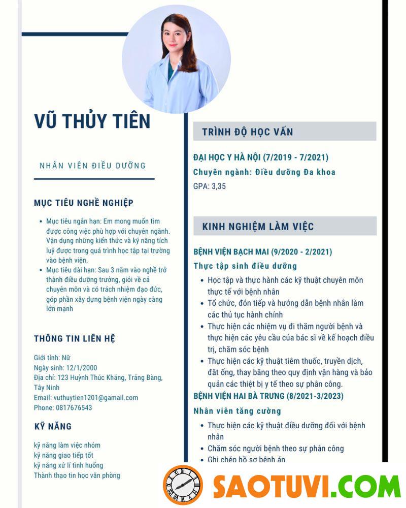 Top 10 mẫu CV xin việc điều dưỡng được lòng nhà tuyển dụng Mẫu CV xin việc điều dưỡng ấn tượng 3
