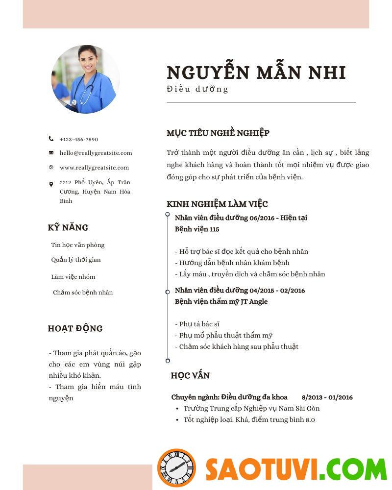 Top 10 mẫu CV xin việc điều dưỡng được lòng nhà tuyển dụng Mẫu CV xin việc điều dưỡng ấn tượng 9 (Ảnh: Sưu tầm)