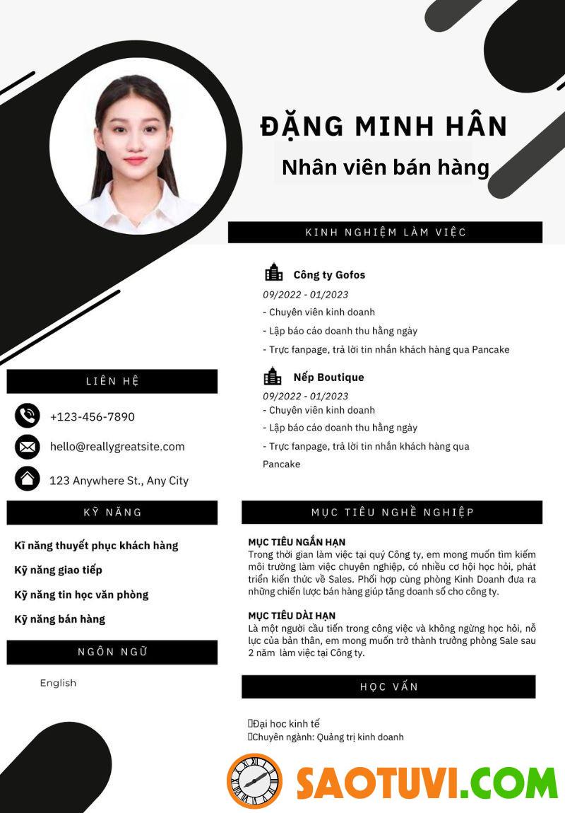 Top 15 mẫu CV xin việc sale đẹp mắt và chuyên nghiệp Mẫu CV xin việc sale 1 (Ảnh: Sưu tầm)
