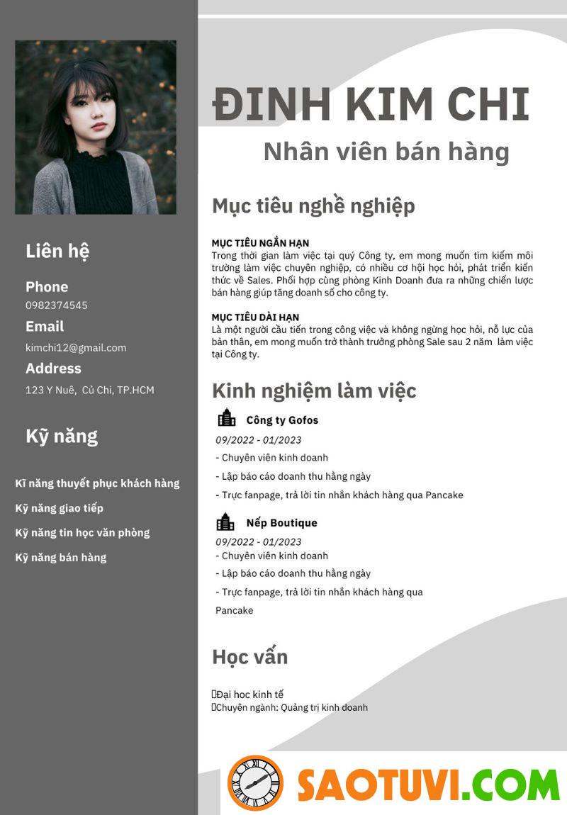 Top 15 mẫu CV xin việc sale đẹp mắt và chuyên nghiệp Mẫu CV xin việc sale 2 (Ảnh: Sưu tầm)