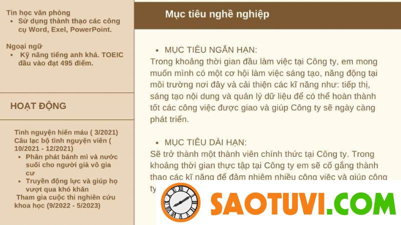 Top 15 mẫu CV xin việc sale đẹp mắt và chuyên nghiệp Mục tiêu nghề nghiệp
