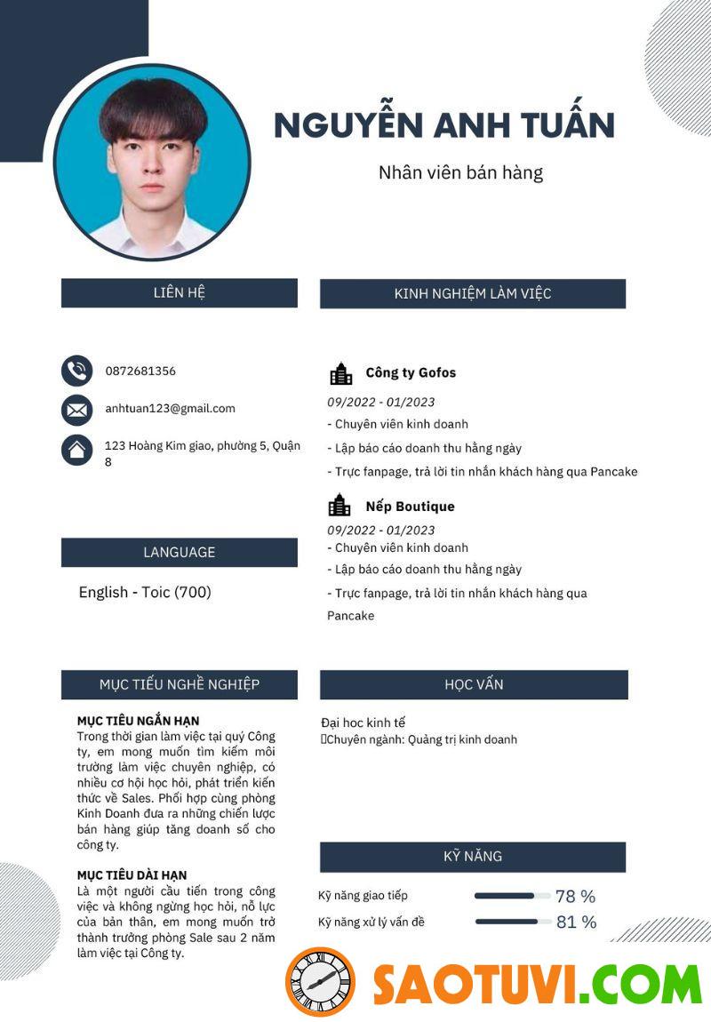 Top 15 mẫu CV xin việc sale đẹp mắt và chuyên nghiệp Mẫu CV xin việc sale 4 (Ảnh: Sưu tầm)