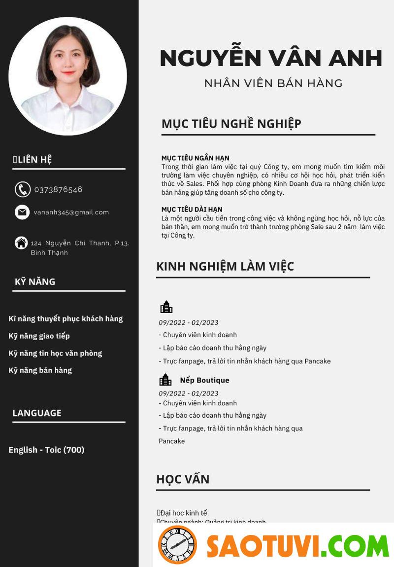 Top 15 mẫu CV xin việc sale đẹp mắt và chuyên nghiệp Mẫu CV xin việc sale 5 (Ảnh: Sưu tầm)
