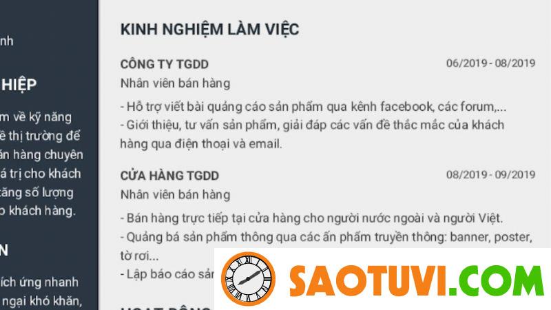 Top 15 mẫu CV xin việc sale đẹp mắt và chuyên nghiệp Kinh nghiệm làm việc