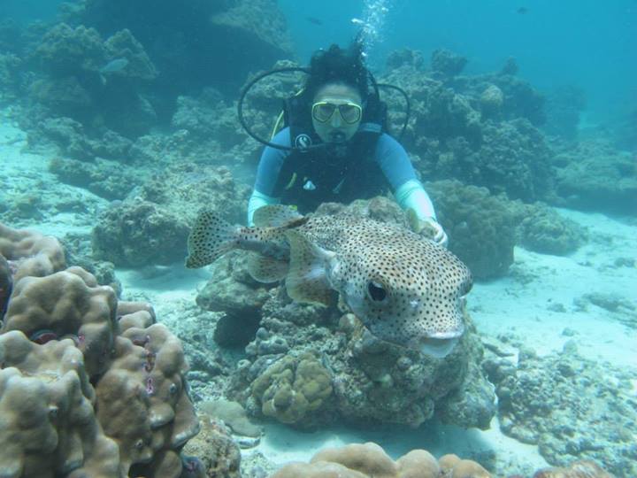 dao-coral-3 lặn san hô