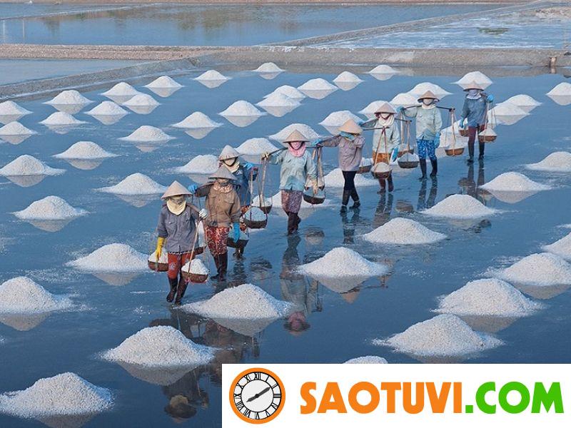 Đất ĐRM là đất gì? Thủ tục chuyển đổi đất ĐRM sang đất ở Đất ĐRM có thể chuyển đổi thành đất chuyên làm muối
