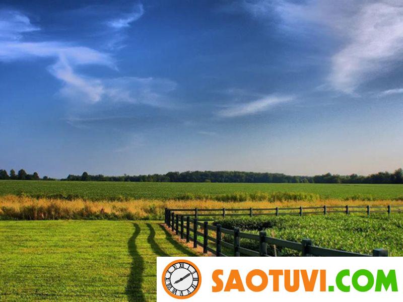 Đất ĐRM là đất gì? Thủ tục chuyển đổi đất ĐRM sang đất ở