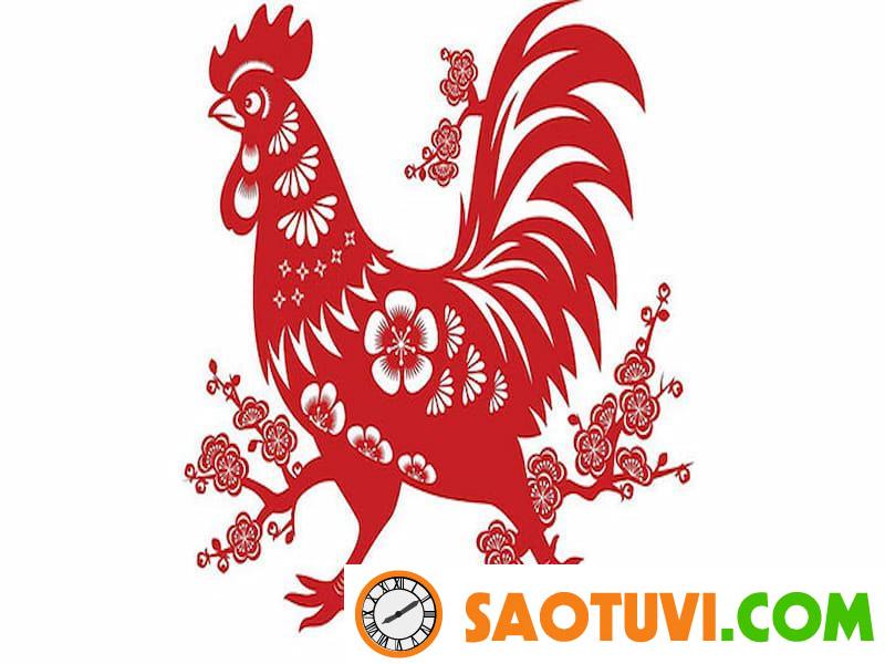 Gợi ý cách chọn nghề hợp tuổi cực chuẩn xác cho 12 con giáp dau 1