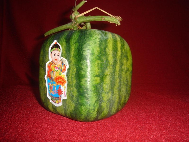 diem-mat-nhung-loai-trai-cay-tet-duoc-san-lung-nhieu-nhat2 diem-mat-nhung-loai-trai-cay-tet-duoc-san-lung-nhieu-nhat2