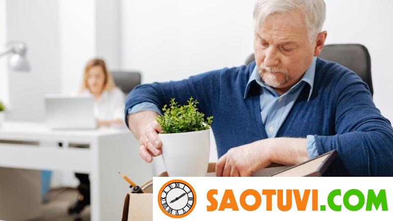 Quy định độ tuổi lao động và tuổi nghỉ hưu mới nhất năm 2024 Thời điểm nghỉ hưu và nhận lương hưu