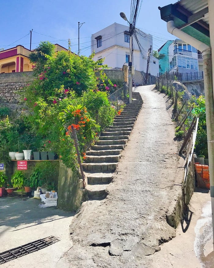 Dốc Nhà Bò – Điểm check in “Triệu View” rất được săn đón tại Đà Lạt ngàn hoa