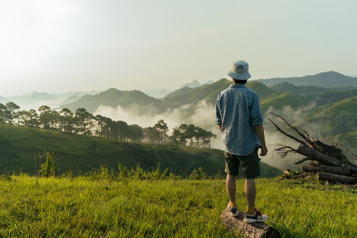 doi-thong-khau-lua-vinh-quy-2 đồi thông khau lừa vinh quý với cảnh đẹp