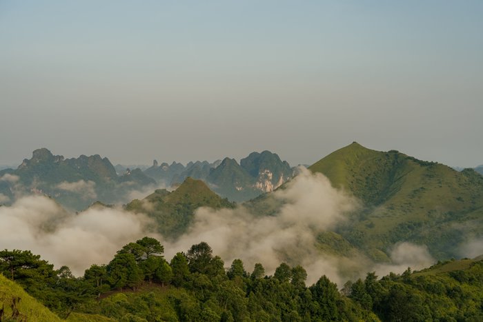 doi-thong-khau-lua-vinh-quy-6 quan cảnh đồi thông khau lừa vinh quý
