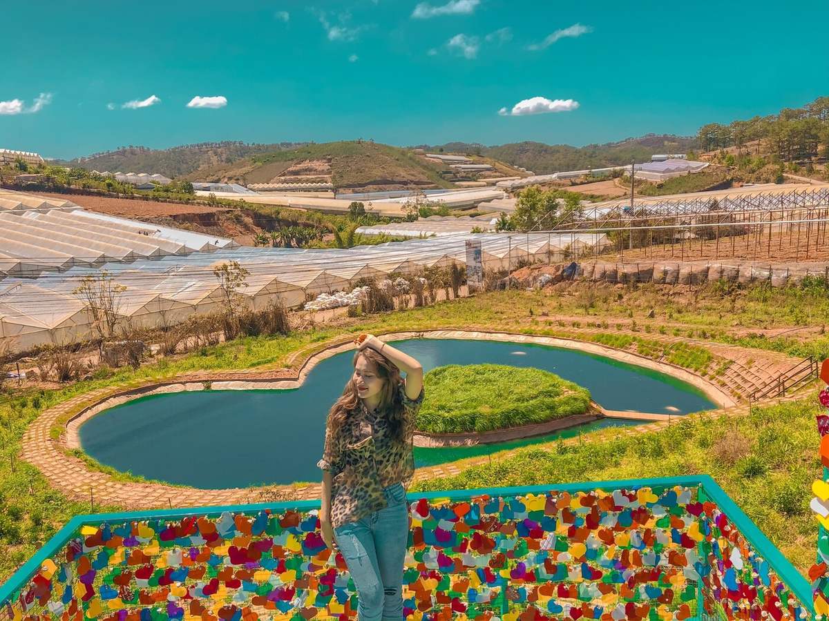 doi-vo-anh-0-1 đồi vô ảnh