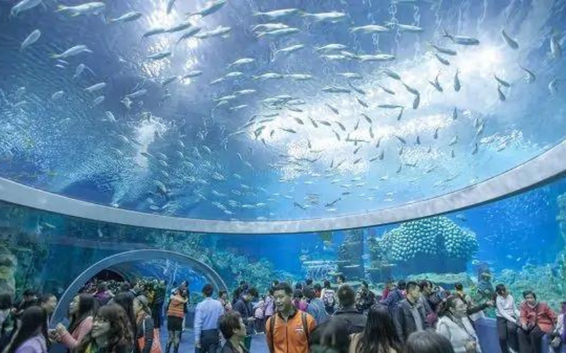 du-lich-nha-trang Nơi mà bạn có thể chiêm ngưỡng hàng trăm loài cá bơi lội vô cùng sống động