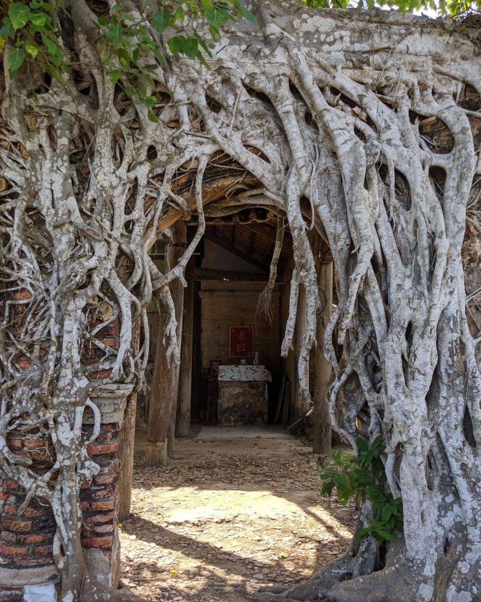 Nhìn từ bên ngoài vào trong đình