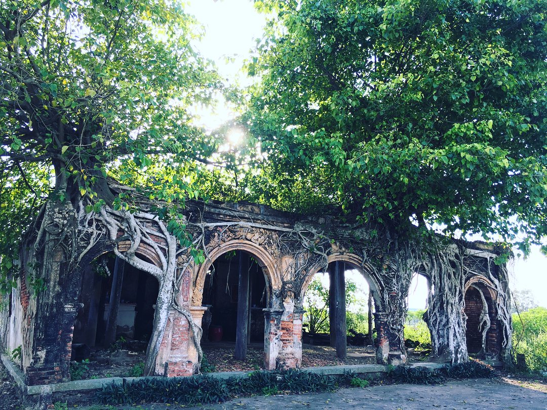 Ảnh ngôi đình cùng cây bồ đề