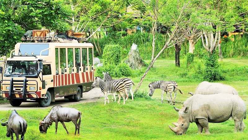 flc-zoo-safari-quy-nhon-4 động vật tại flc zoo safari quy nhơn