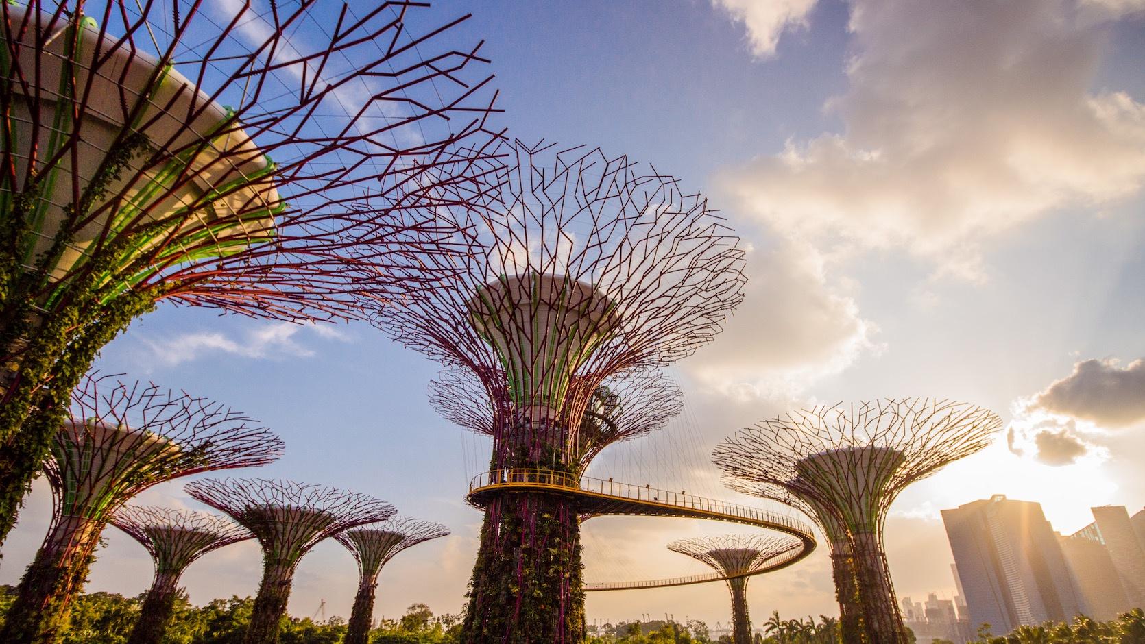 HOÀ MÌNH VÀO KHUNG CẢNH TUYỆT ĐẸP TẠI GARDEN BY THE BAYS