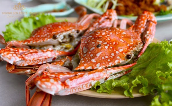 ghe-xanh-hap Đặc sản Nam Du - Ghẹ xanh hấp