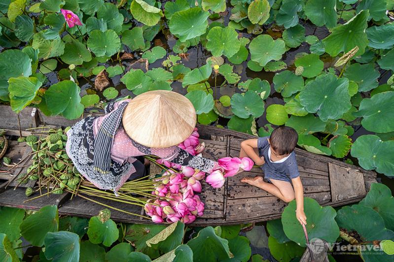 go-thap-2-min Đầm sen tại di tích Gò Tháp