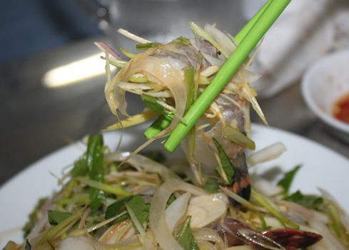 goi-tom-song gỏi tôm sống