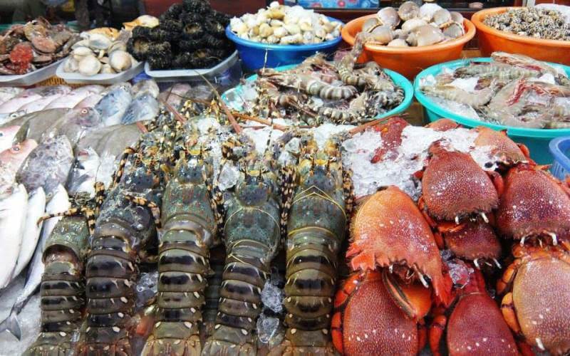 hai20san20dao20nam20du hai san dao nam du