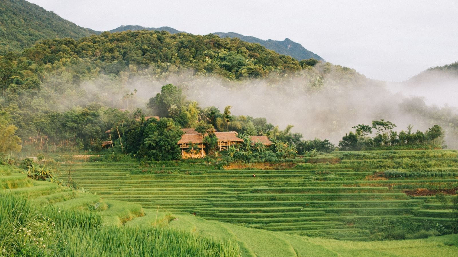 Hang dơi Kho Mường – Nét đẹp ngoạn mục của mẹ thiên nhiên