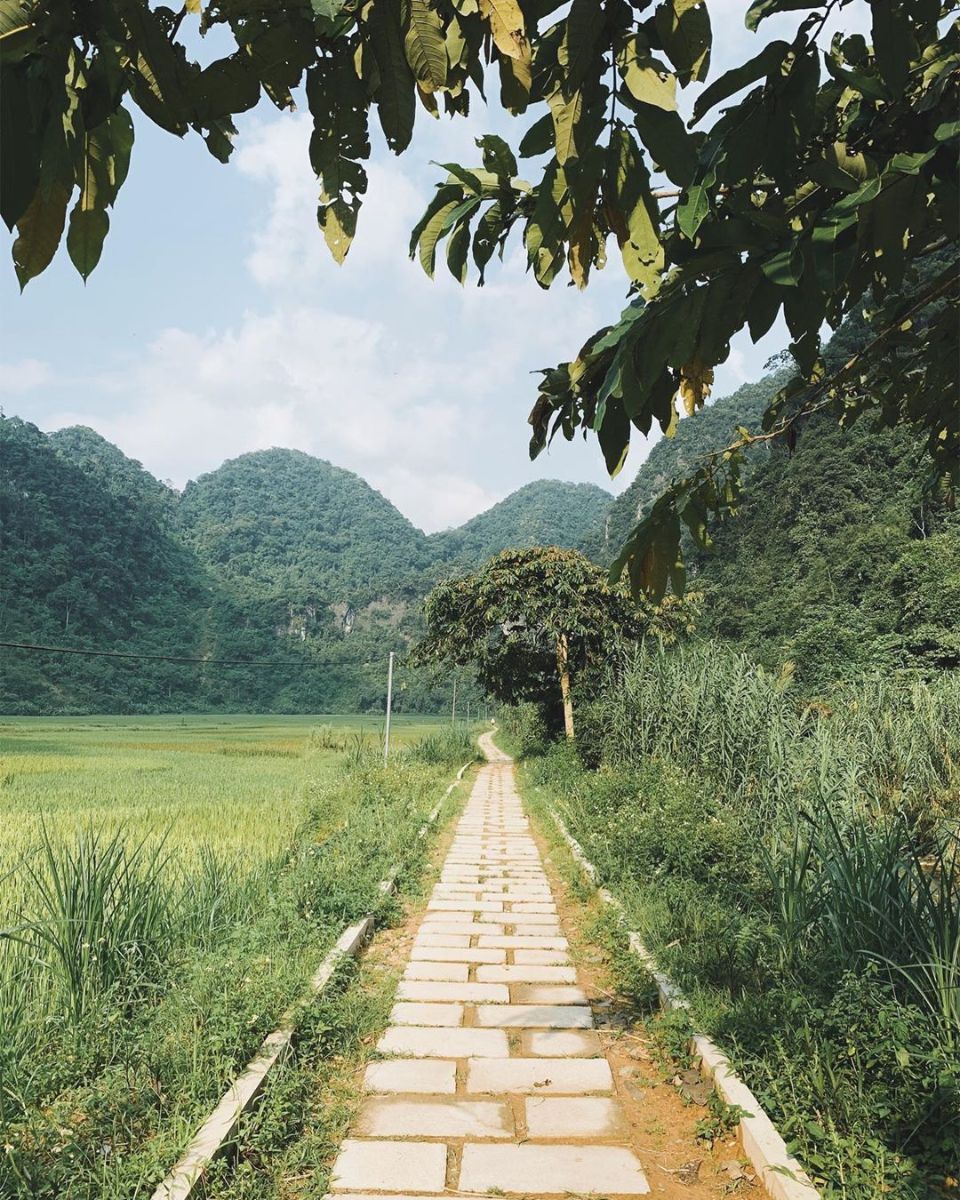 hang-doi-kho-muong-31