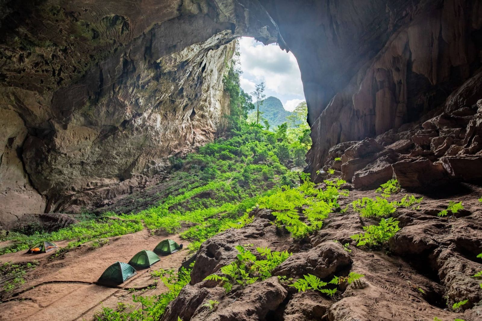 hang-pygmy quang cảnh hang pygmy