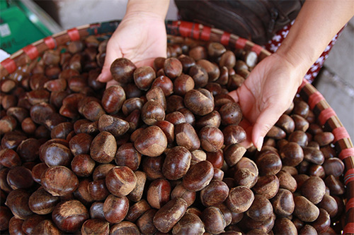 hat-de-nong-ngon hạt dẻ nóng thơm ngon