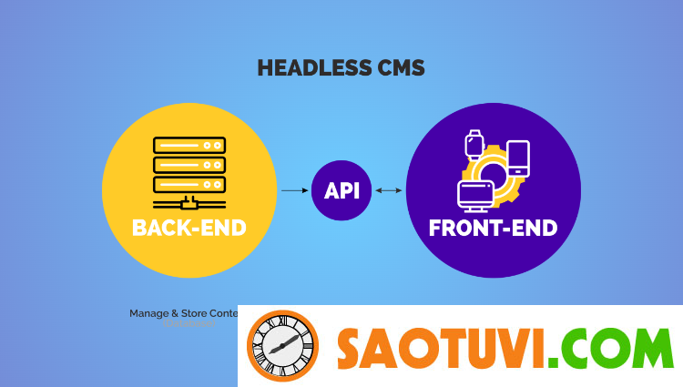 headless-commerce-2 Chọn Headless CMS