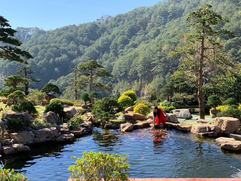ho-ca-koi-o-que-garden que garden đà lạt