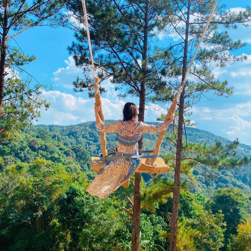 hoa-son-dien-trang-1-1 hoa sơn điền trang