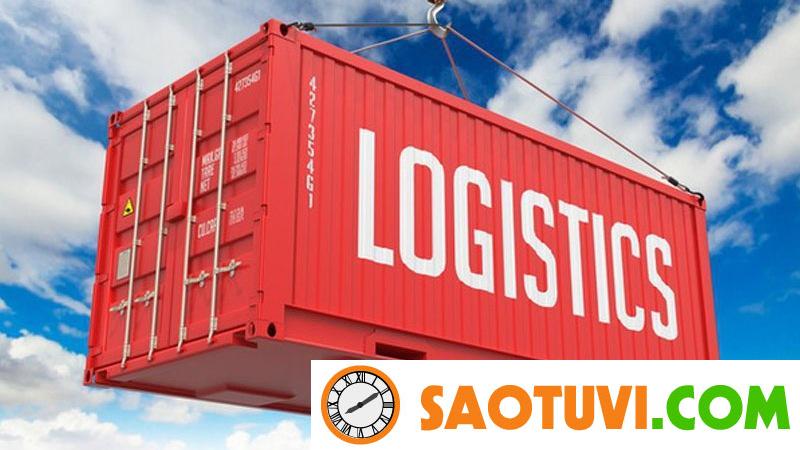 học Logistics ra làm gì