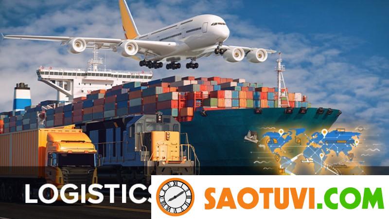 Học logistics ra làm ở đâu