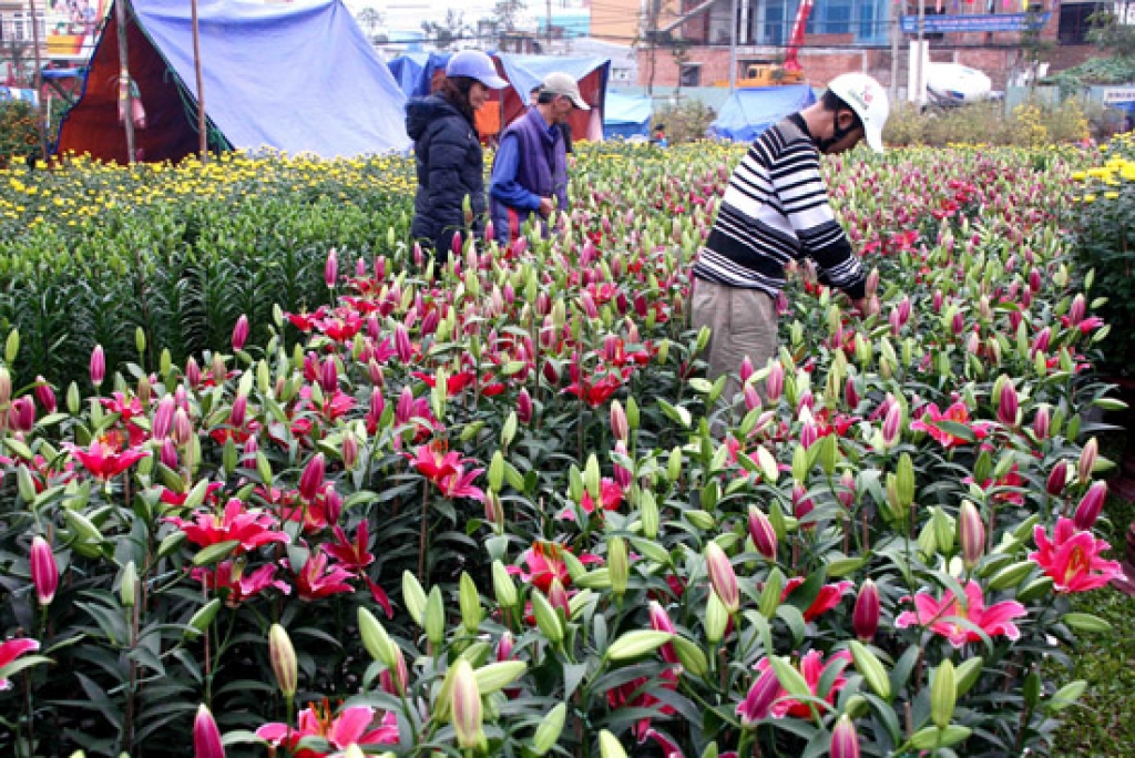 ke-hoach-kinh-doanh-hoa-tuoi-16 Tìm nguồn hoa mở shop hoa tươi