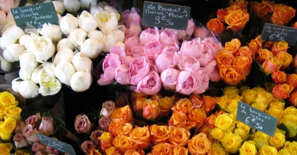 ke-hoach-kinh-doanh-hoa-tuoi-18 quảng bá thương hiệu cho shop hoa tươi