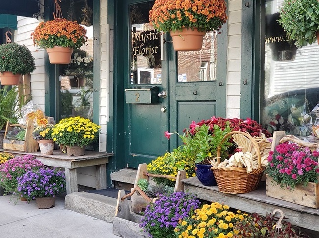 ke-hoach-kinh-doanh-hoa-tuoi-5 Thăm dò thị trường trước khi mở shop hoa tươi