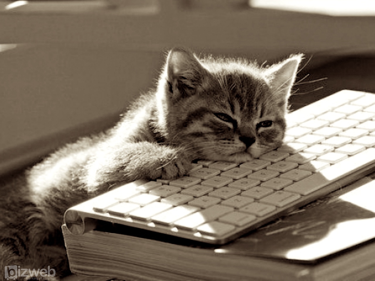 kham-pha-5-cach-kiem-tien-hieu-qua-nhat-cho-sinh-vien2 Viết blog -cách kiếm tiền trên mạng hiệu quả nhất cho sinh viên