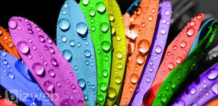 kham-pha-bi-an-sau-cac-nut-keu-goi-hanh-dong2 Màu sắc có vai trò quan trọng trong việc thu hút khách hàng