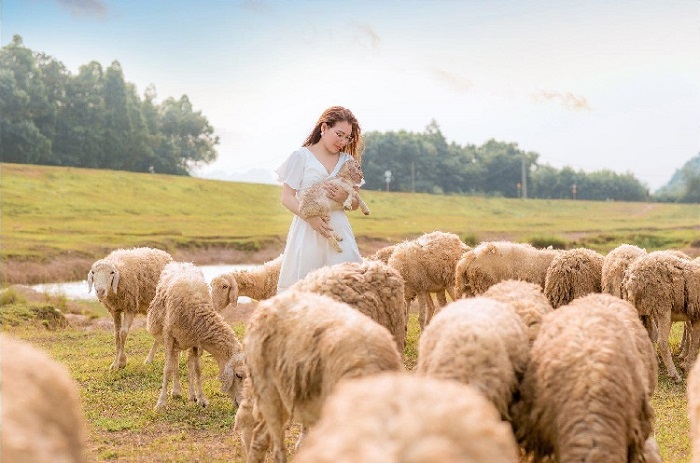 kham-pha-dong-cuu-gia-hung-ninh-binh-4