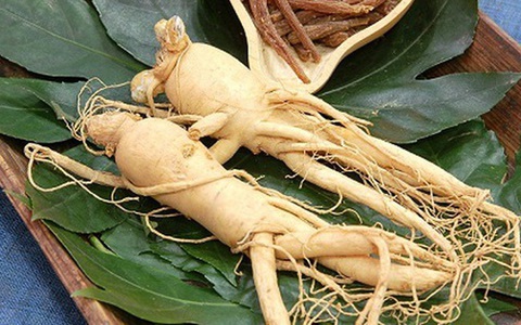 khu-di-tich-nui-danh-2 khu di tích núi dành