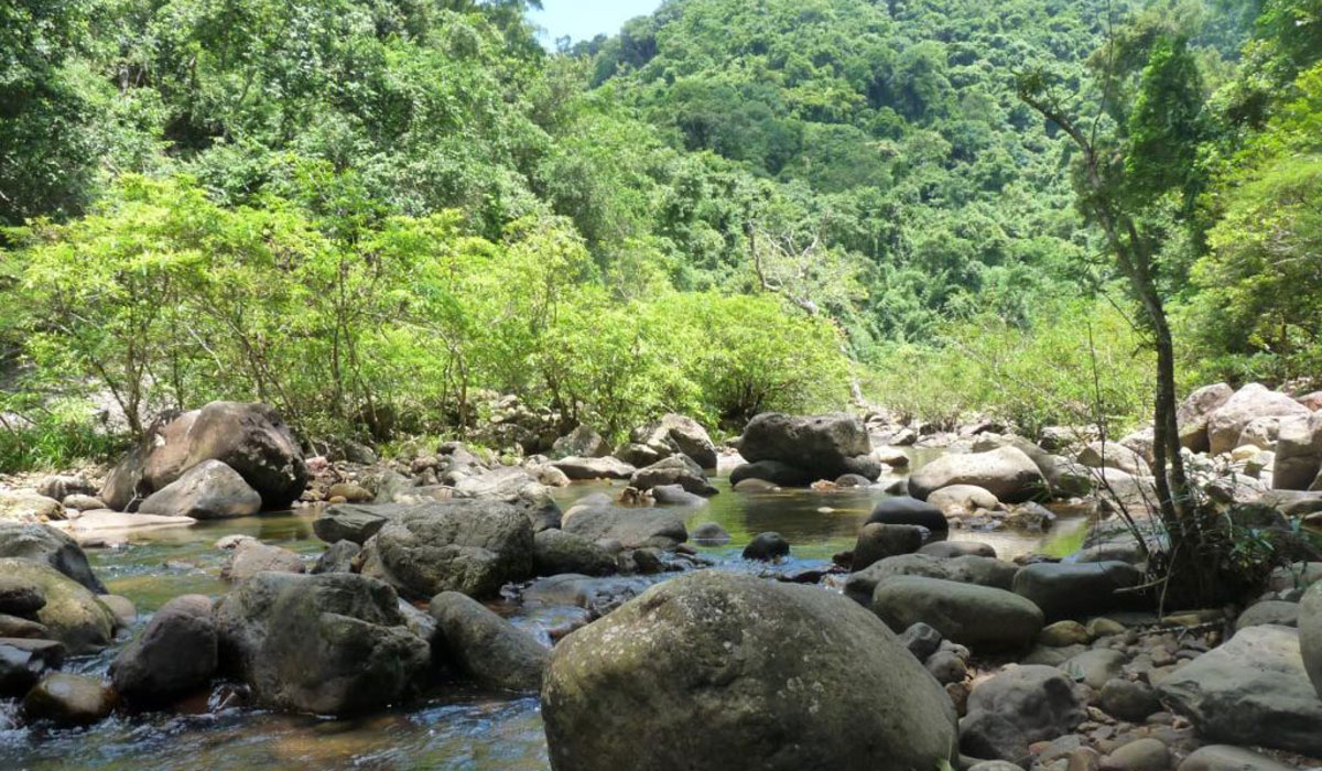 khu-du-lich-dong-thong-1-1 Khu du lịch sinh thái đòng thông