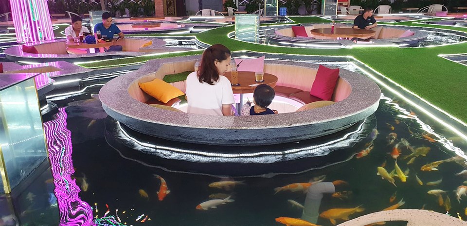 king-koi-cafe-ca-koi king koi cafe